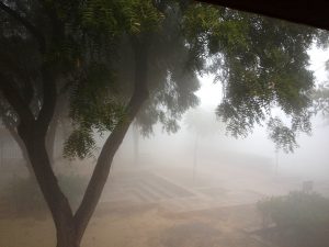 Sanskriti Kendra grounds in the early morning fog