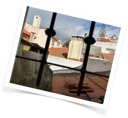 view from my window in Alfama