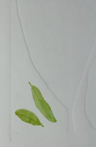 A Leaf in the Wind #3, Beleric Myrobalan, Pomegranate, Mango & Krishna's Buttercup (detail)