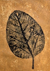A Leaf in the Wind #16, Banyan