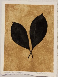 Sanskriti Leaves, Cestrum Nocturnum